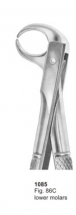  Fig. 86C lower molars 